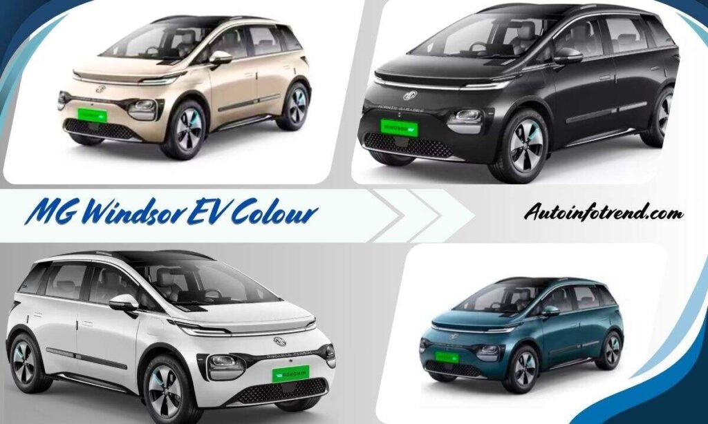 Windsor EV  Colour
